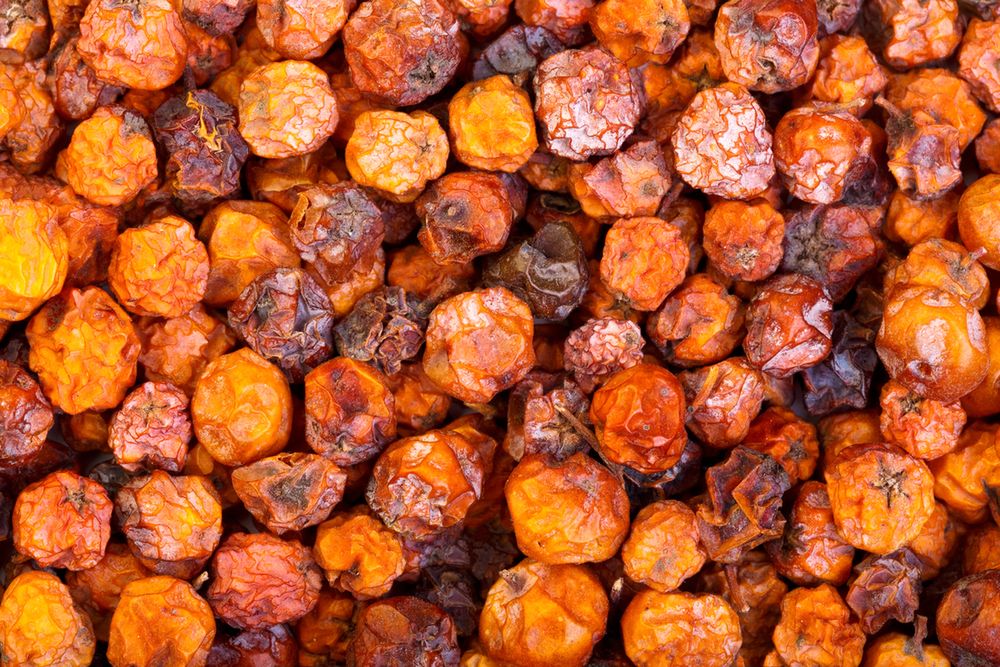 Jarzębinę warto ususzyć