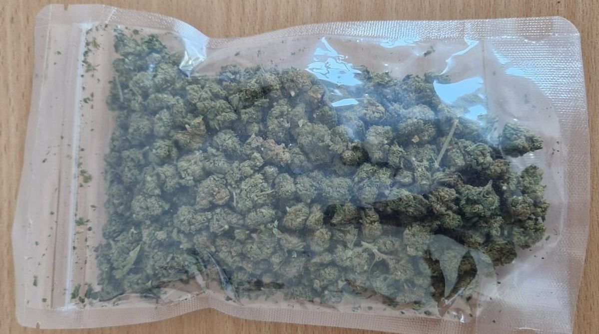 Pies "Milky" z kujawsko-pomorskiej KAS znalazł narkotyki w przesyłkach kurierskich