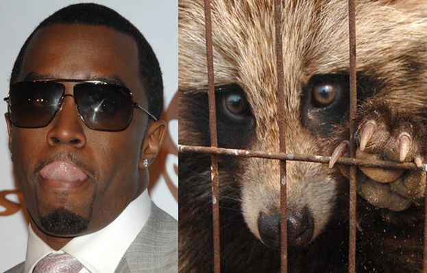 P. Diddy sprzedawał prawdziwe futra!