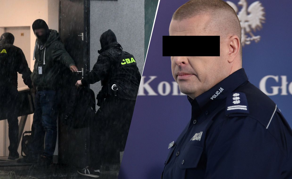 Były szef policji zatrzymany. Akcja na lotnisku