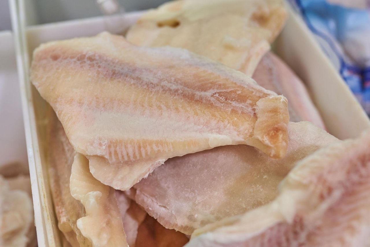 Ryby najbardziej skażone rtęcią (WIDEO)