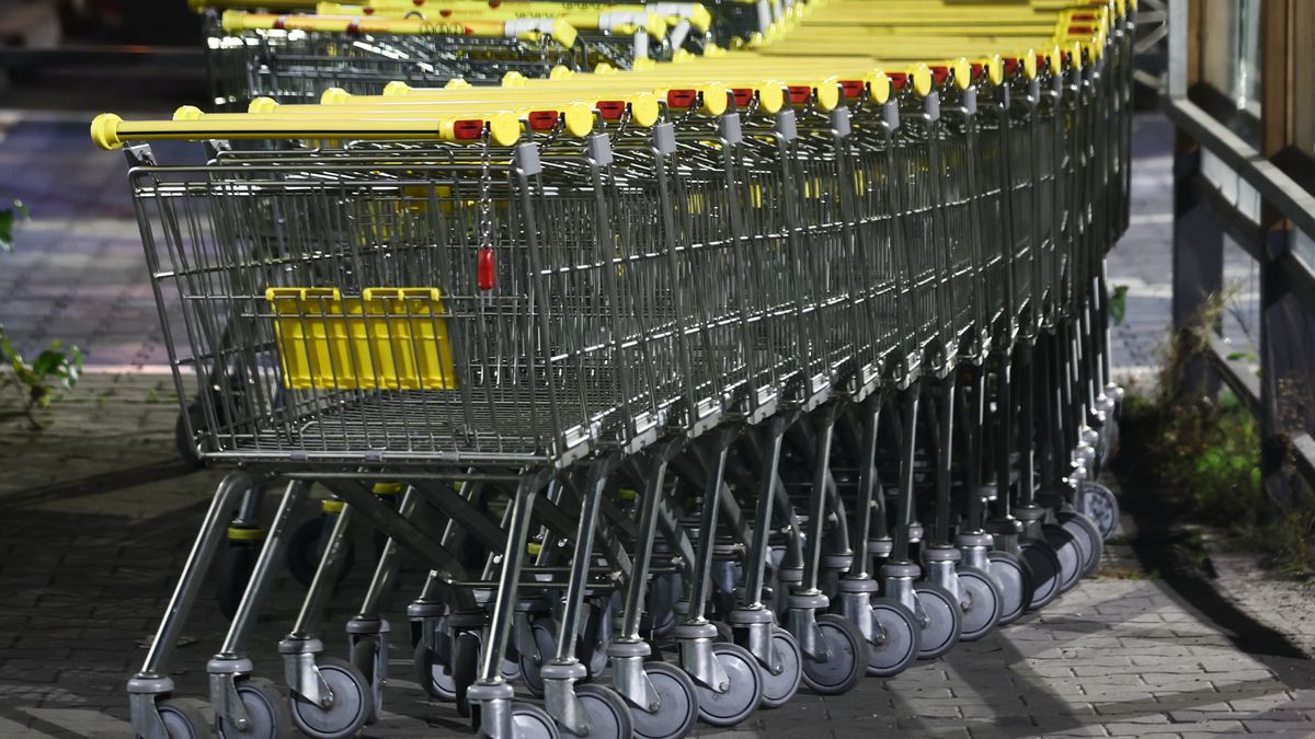 Shopping trolleys are seen near the shop in Inwald, Poland on October 12, 2024. (Photo by Jakub Porzycki/NurPhoto via Getty Images)