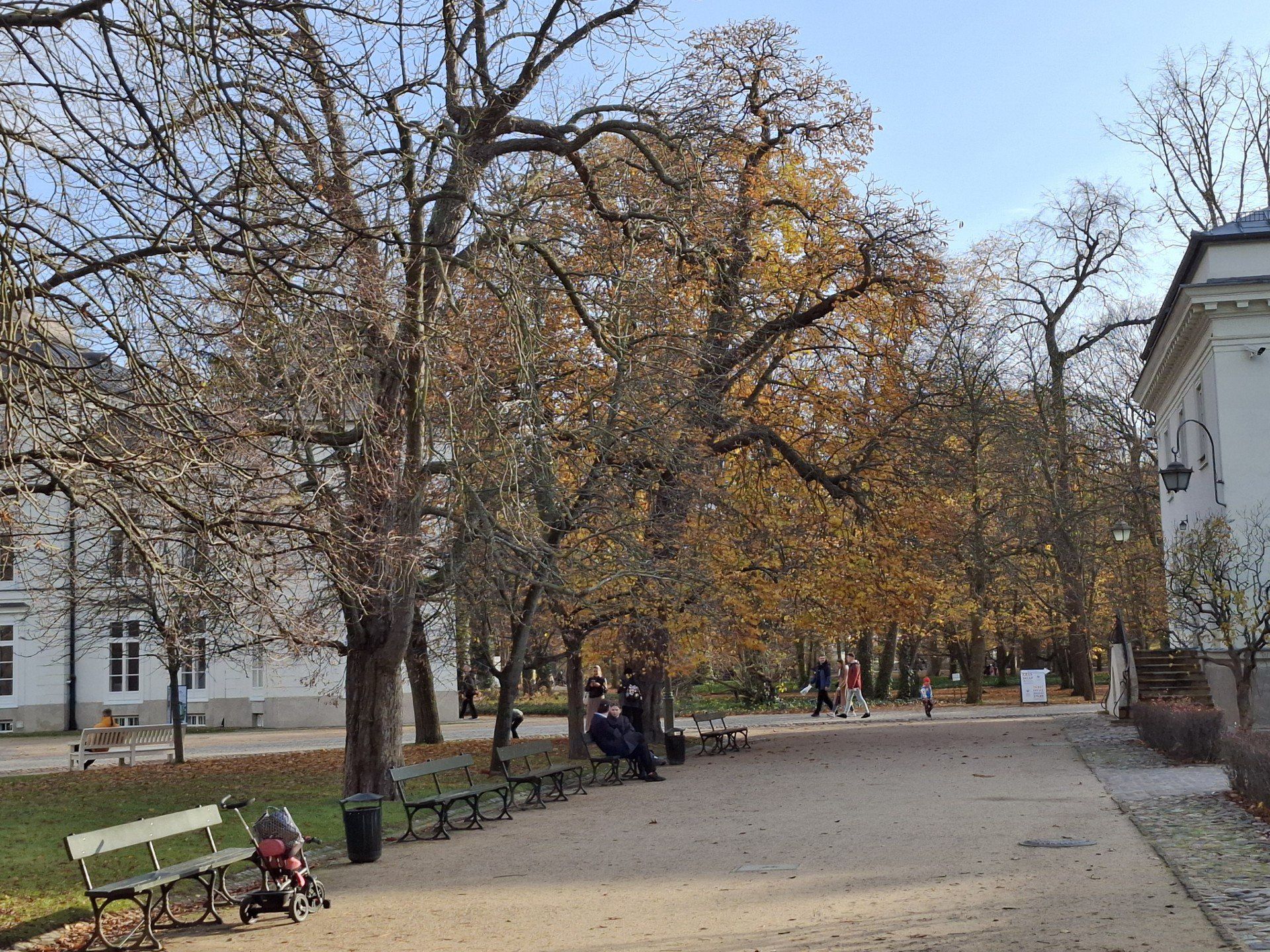 Łazienki Królewskie jak z filmu. Alejki pokryły się złotem jesieni. Jest przepięknie