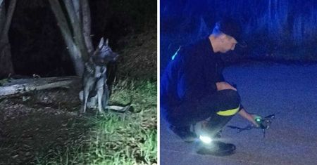 Zgubił się podczas grzybobrania. Pomógł policjant-myśliwy