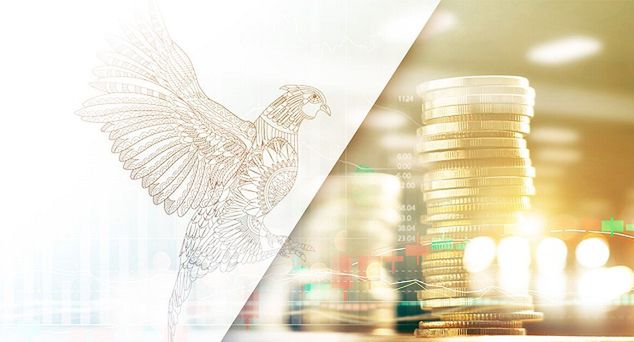 Prosper Capital Dom Maklerski klientem Up&amp;More