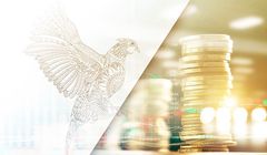 Prosper Capital Dom Maklerski klientem Up&amp;More