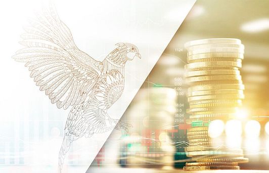 Prosper Capital Dom Maklerski klientem Up&amp;More