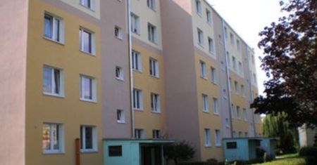 70-latka mieszka w piwnicy. Płaci czynsz jak za normalne mieszkanie