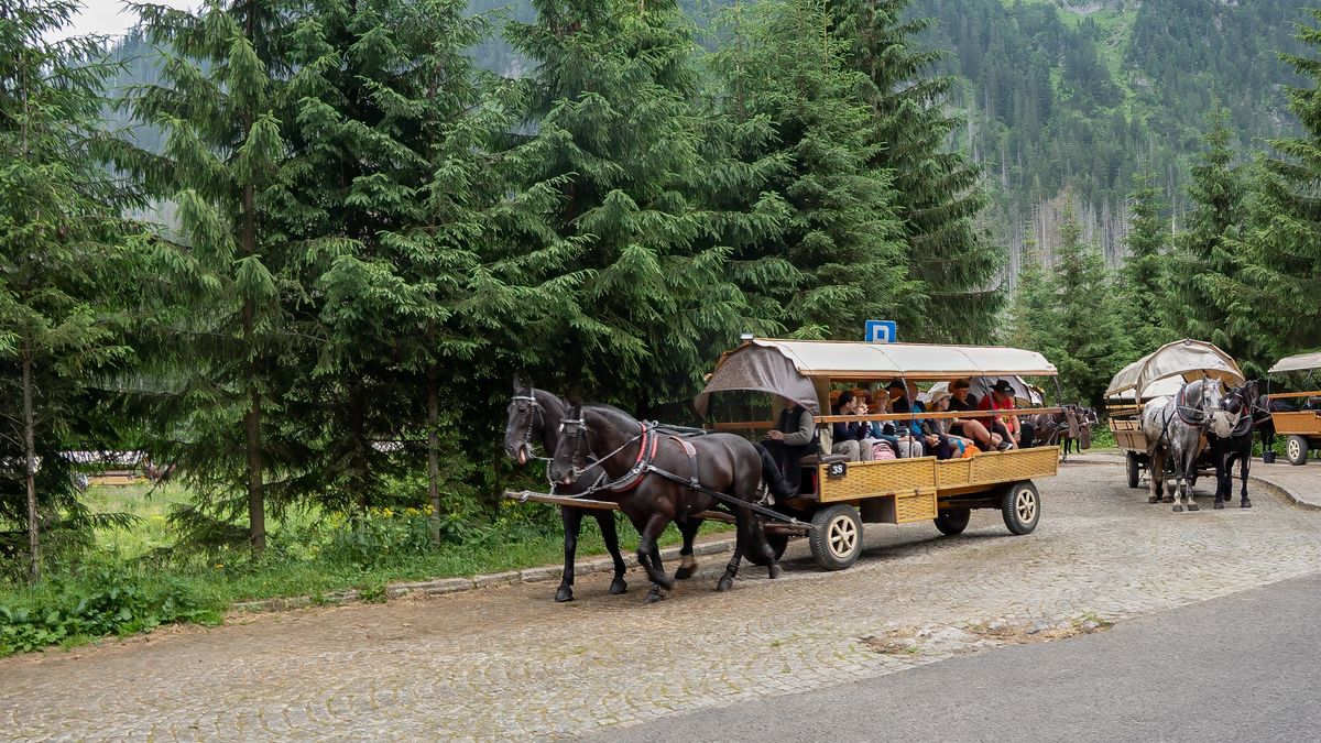 Transport konny nad Morskim Okiem na Włosienicy