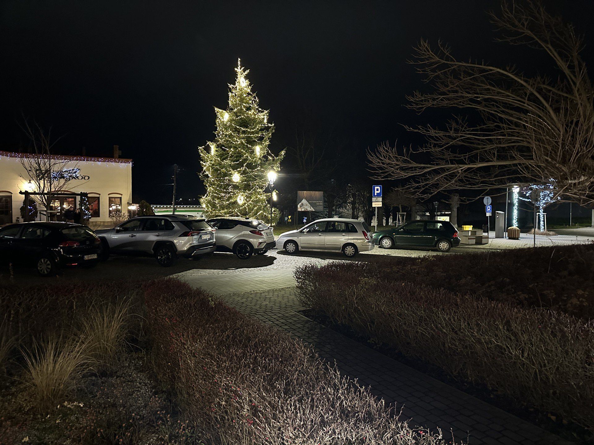 Choinka po raz kolejny stanęła przy Żmigrodzie
