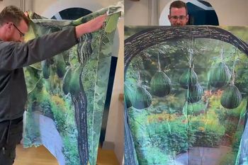 Zamówili okazję z Temu. Wstyd, co zobaczyli