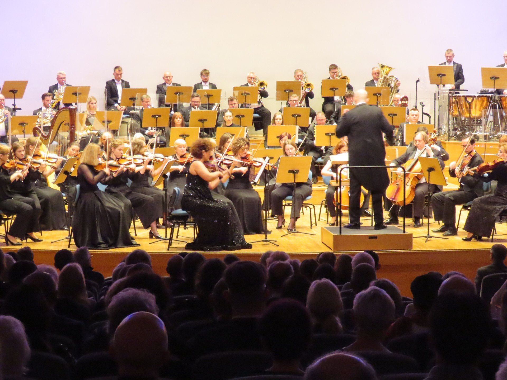 String Festival - Filharmonia Zielonogórska