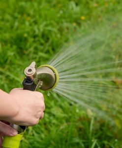 Woda tylko do mycia. Inaczej 500 zł grzywny. Tak gminy walczą z suszą