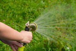 Woda tylko do mycia. Inaczej 500 zł grzywny. Tak gminy walczą z suszą
