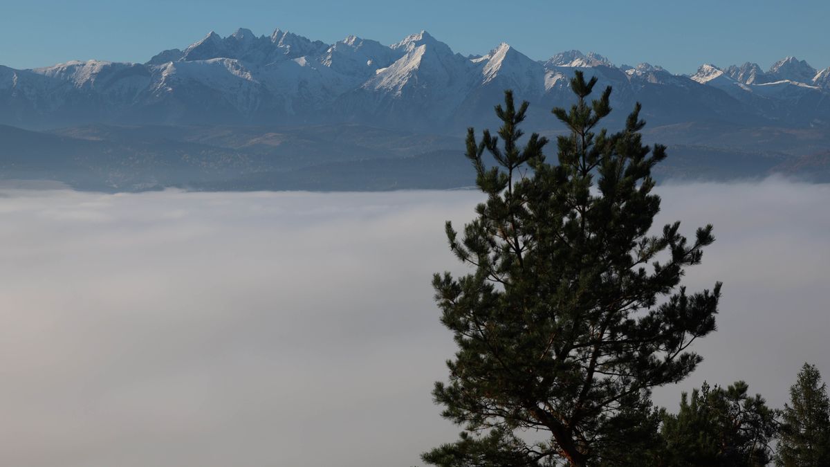 widok na Tatry
Grzegorz Momot
drzewa, g�ry, mg�a, poranek, tatry, widok, jesie�