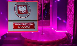 Akt oskarżenia w sprawie polskich klubów go-go. Byli policjanci pod lupą