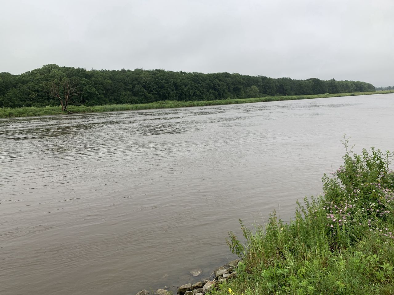 Flood devastation prompts breakthrough in predicting avulsions