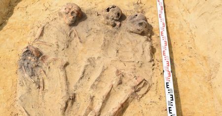 115 grobów z XVII wieku. Odkrycie na budowie drogi S19