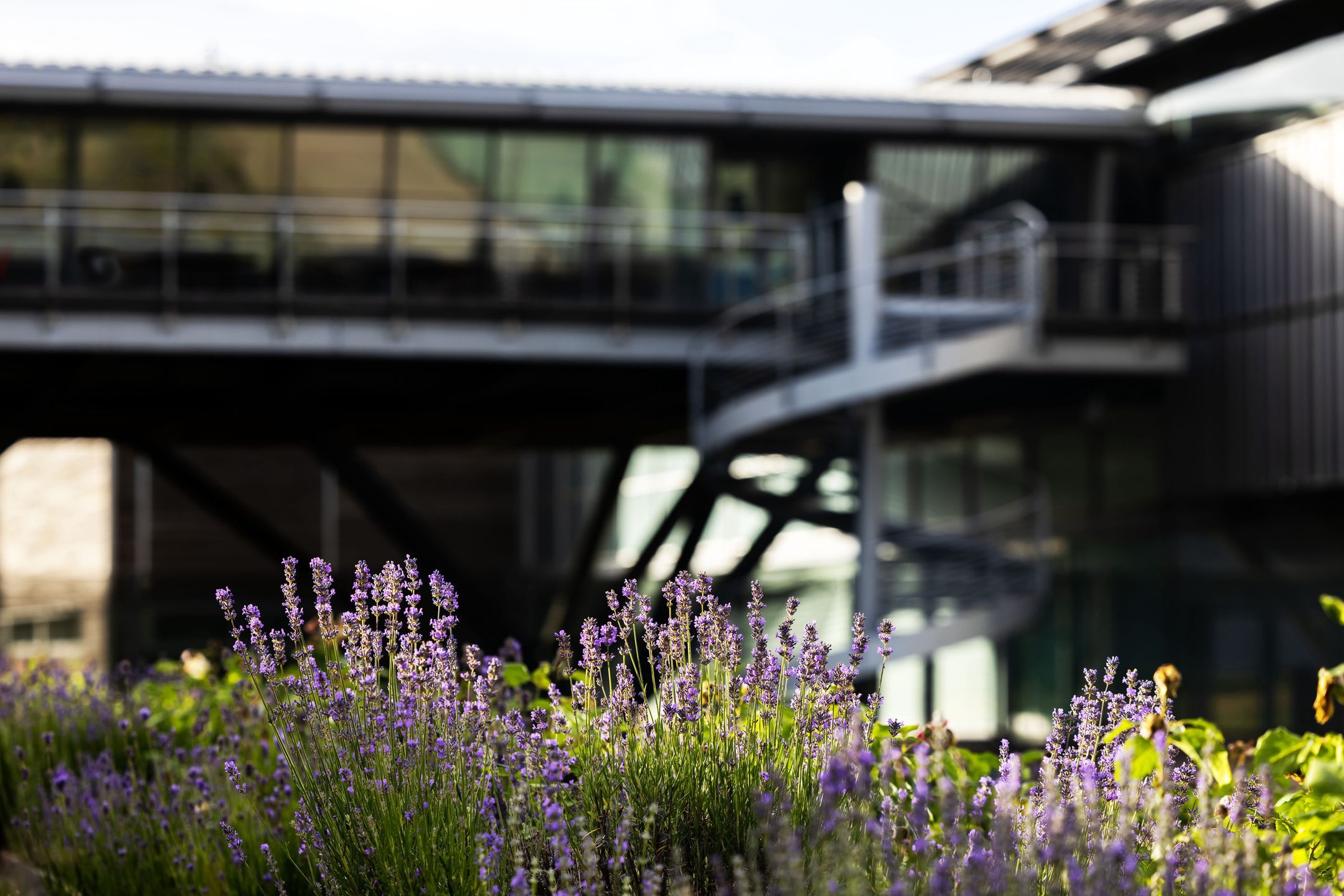 Fabryka Rolls-Royce'a w Goodwood