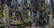 Kraków: Cmentarz Żydowski przy Miodowej. Miejsce pełne historii