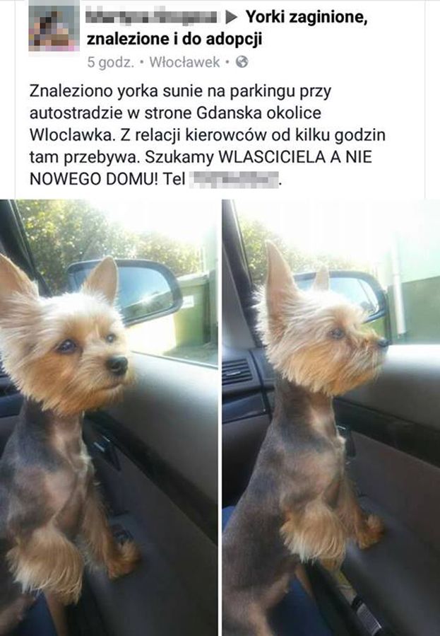 Obraz