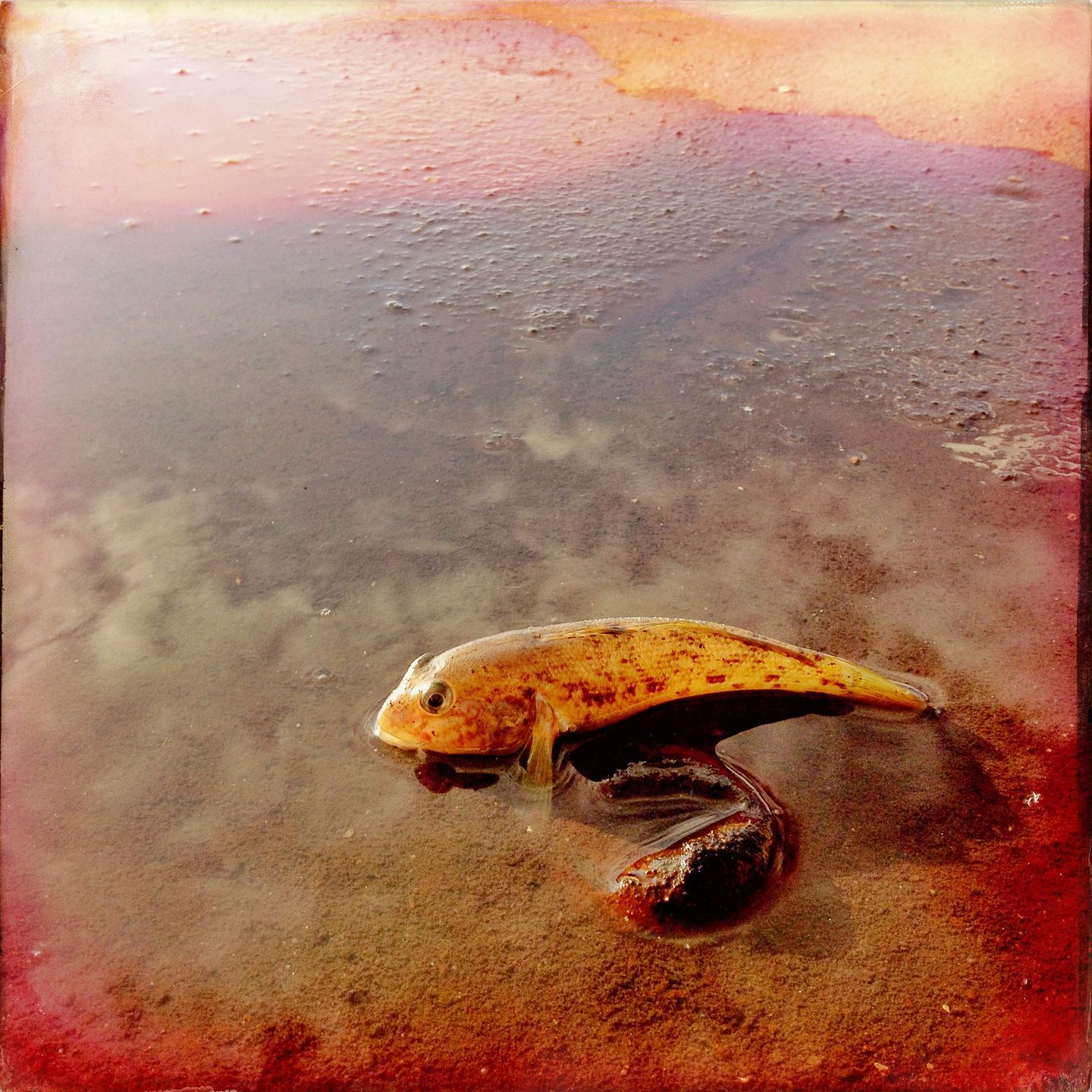 Hipstamatic, czyli dlaczego mniej znaczy więcej [recenzja] 13