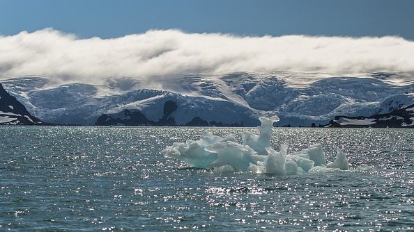 Kolejna pandemia może mieć związek z ocieplaniem klimatu