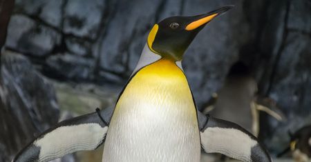 Nowy Linux już tu jest. Z czym do nas przychodzi?