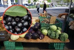 Zadziwiające odkrycie polskich naukowców. Te dwa produkty mają supermoce