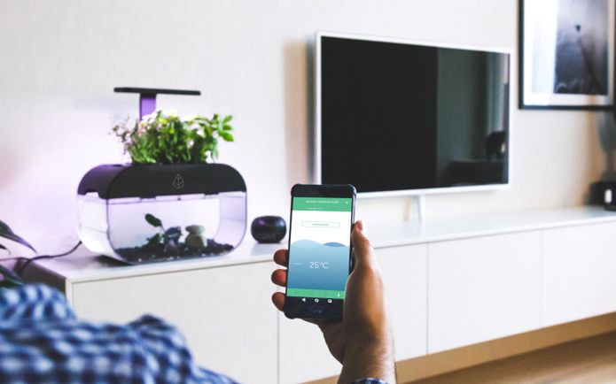 EcoGarden – domowy ogród. Uprawa akwaponiczna, którą obsłużysz smartfonem 3