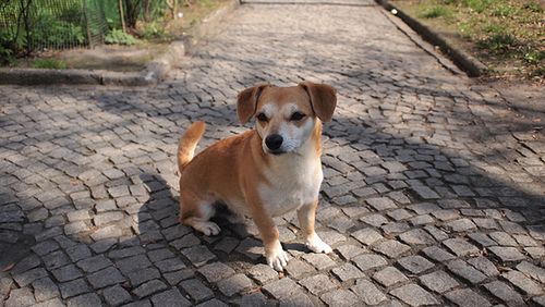 Olympus E-PL1 - TEST część 2 19