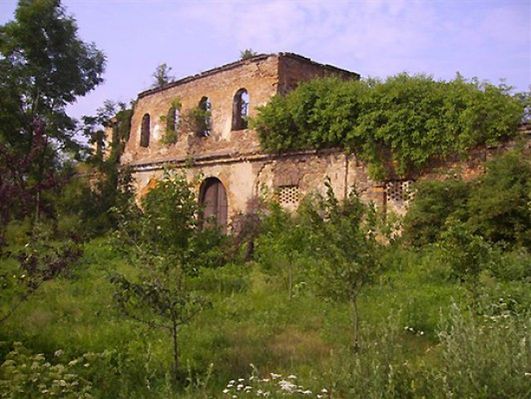 Obraz
