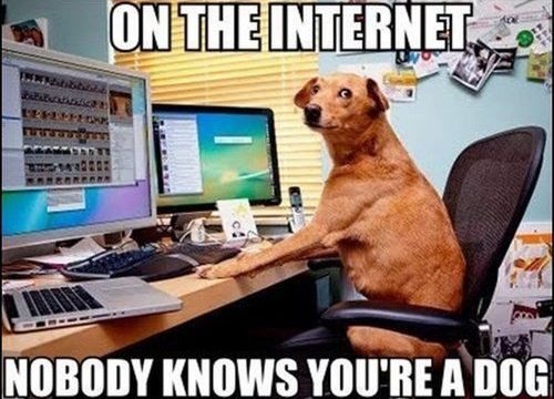 Polacy zaczynają związki przez Internet. Jak to działa? 2