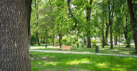 Wydali miliony, by odmienić drugi najstarszy park w Lublinie. Otwarcie po rewitalizacji w przyszły weekend [PROGRAM]