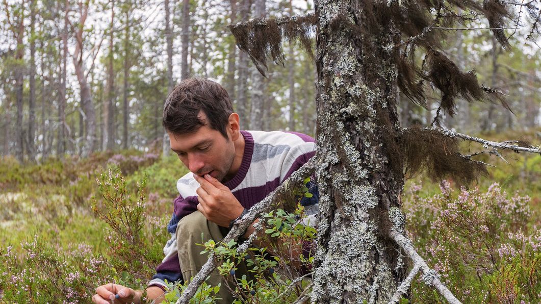 W tym roku słono zapłacimy za słoik jagód. To nie koniec złych wieści