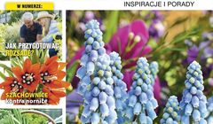 „Kocham Ogród” zmienia się w miesięcznik. Nowy layout i więcej stron