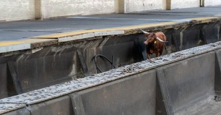 Znalazł się na torach kolejowych. Spowodował paraliż komunikacyjny