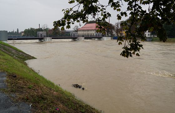 Powódź uderza także w lokalne media. Dziennikarze się nie poddają