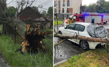 Ponad 1600 zgłoszeń w jedną dobę. Front burzowy przeszedł przez kraj