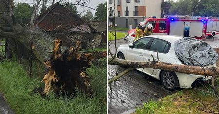 Ponad 1600 zgłoszeń w jedną dobę. Front burzowy przeszedł przez kraj
