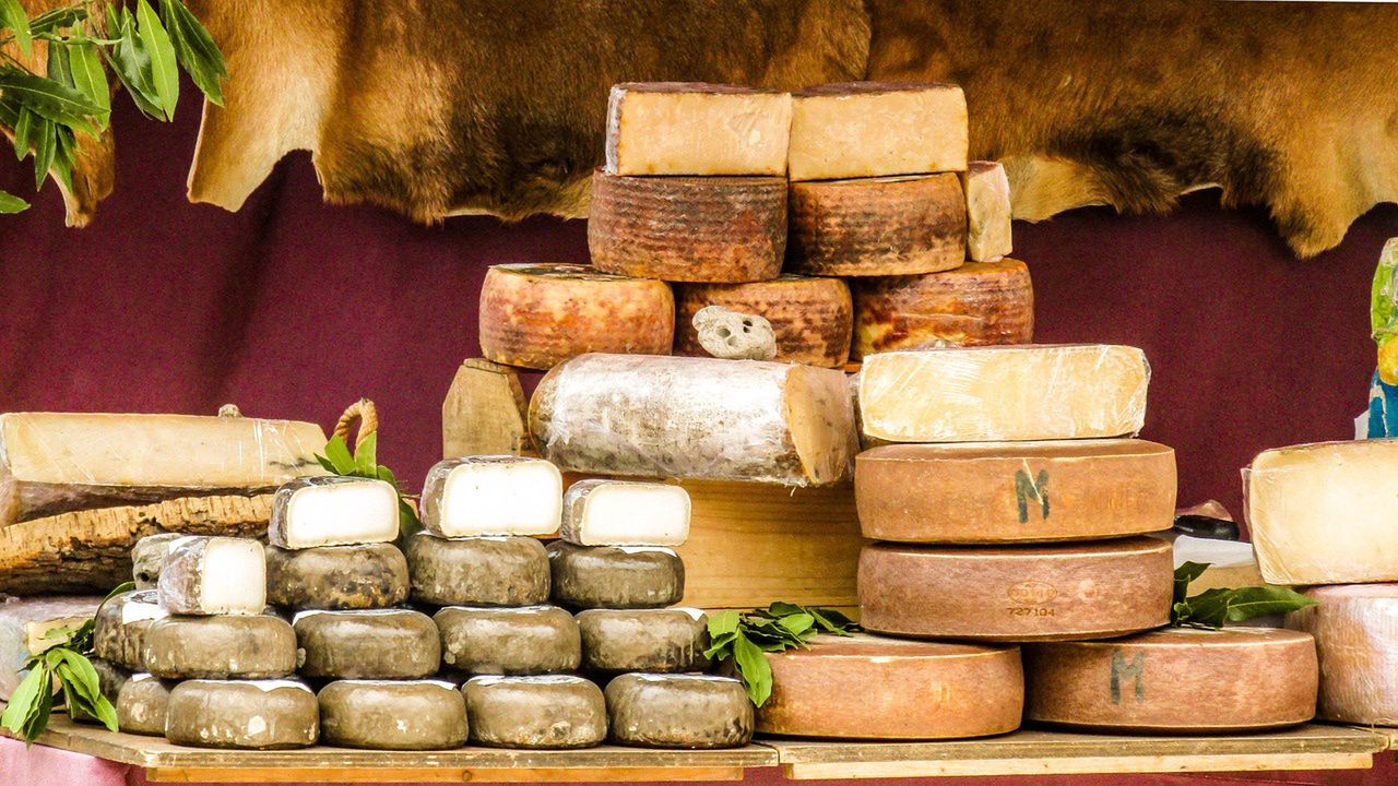 Cheeses are an important element of diet and culinary tradition.