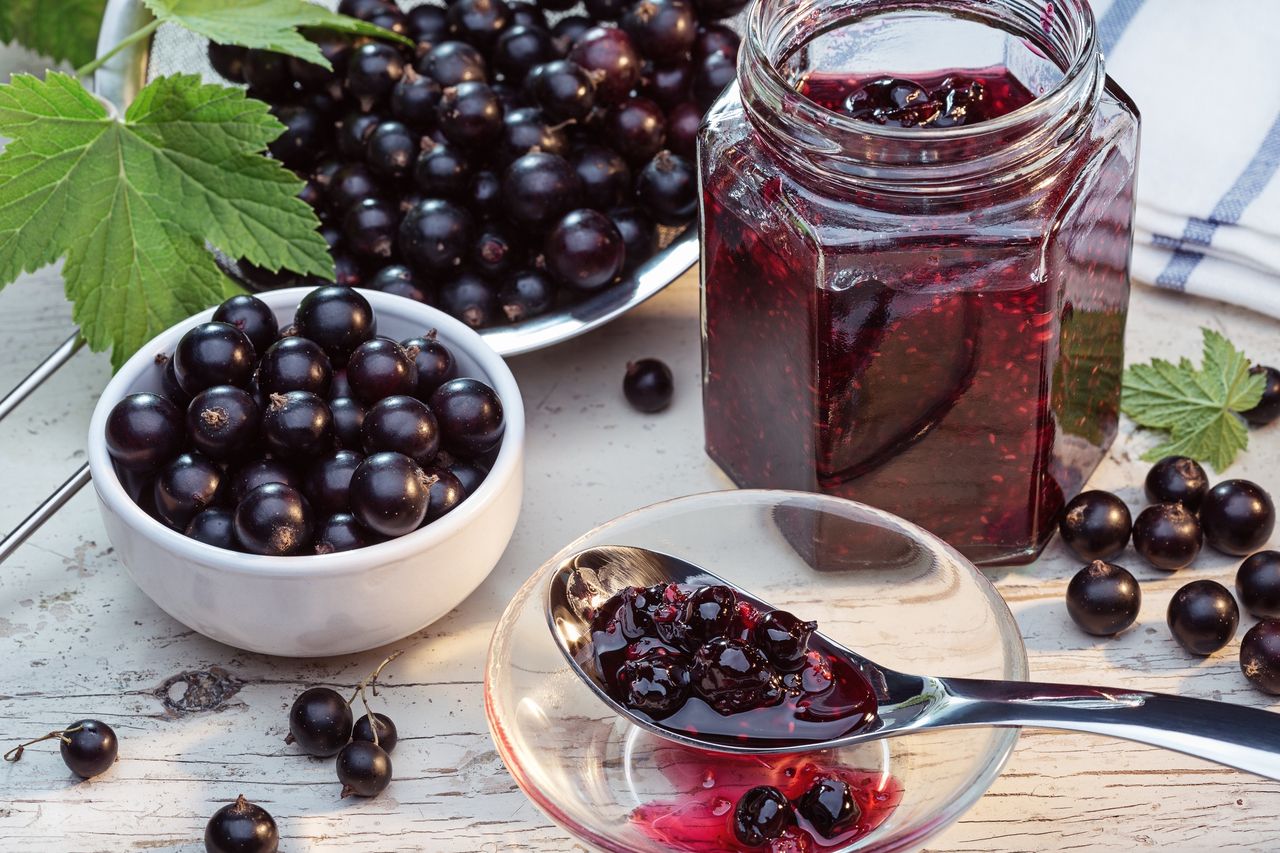 Black currant jam: The tangy treasure you need this holiday season