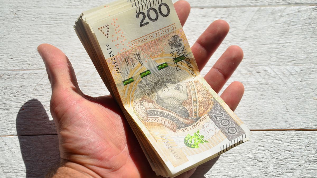 waluta, gotówka, bisnes, finanse, dolar, euro, bank, banknot, gospodarka, bankowej, banknoty, odmiana, kasa, firma, podatki, kredyt, biznes, biznesmen, dolary, zarobek, polskie, praca