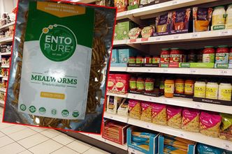 Unia wydała zgodę na "nową żywność". Będziemy jeść robaki. To coraz popularniejsze