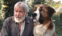 Harrison Ford w filmie "Zew krwi"