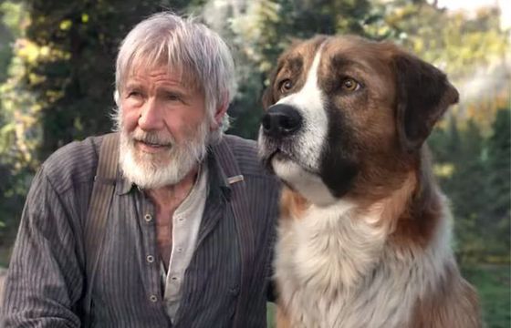 Harrison Ford w filmie "Zew krwi"