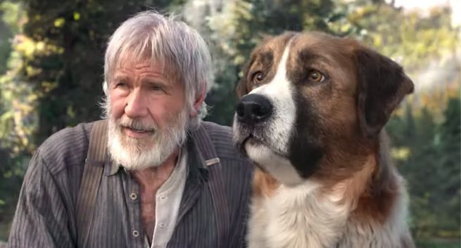 Harrison Ford w filmie "Zew krwi"