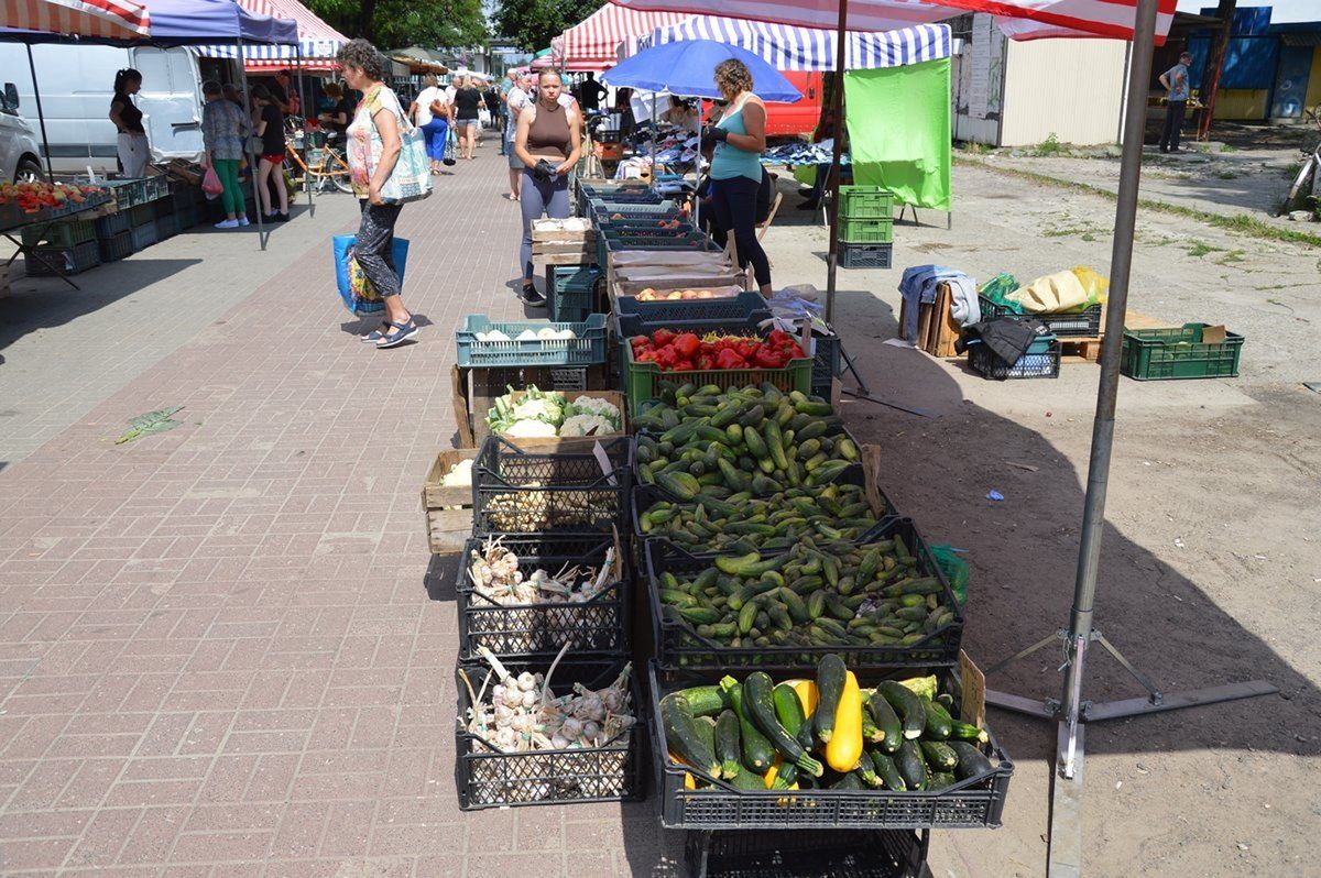 O sezonie ogórkowym świadczy duża oferta na targu