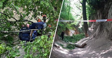 Dzieci w szpitalu. Prokuratura zbada drzewa po wypadku w wąwozie