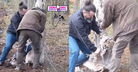 Niebezpieczna pułapka w lesie. Daniel potrzebował pomocy człowieka